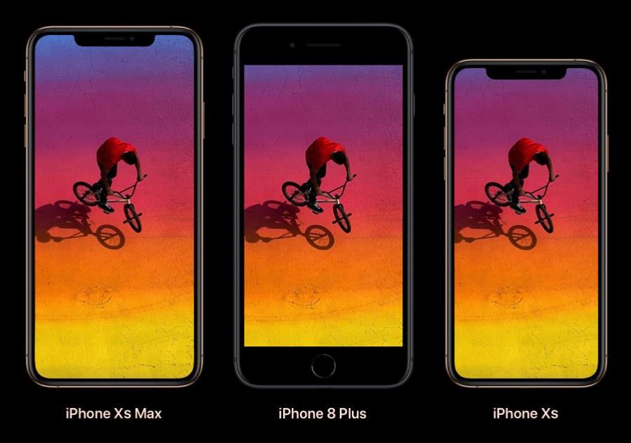 iphone xr and xs max size